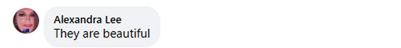 Image slider