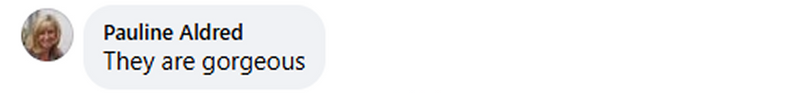 Image slider